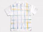 干支とら（寅）のTシャツ大人